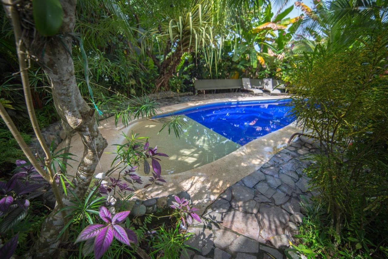 Villas Oasis Manuel Antonio Dış mekan fotoğraf